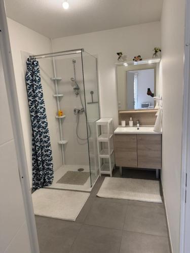 une salle de bain avec une douche, un lavabo et un miroir dans l'établissement Beau T2 Arlesien, à Arles