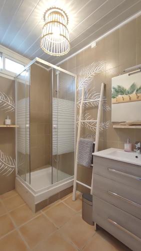 La salle de bains est pourvue d'une douche, d'un lavabo et d'un lustre. dans l'établissement L' ABRI-CÔTIER, à Cassis