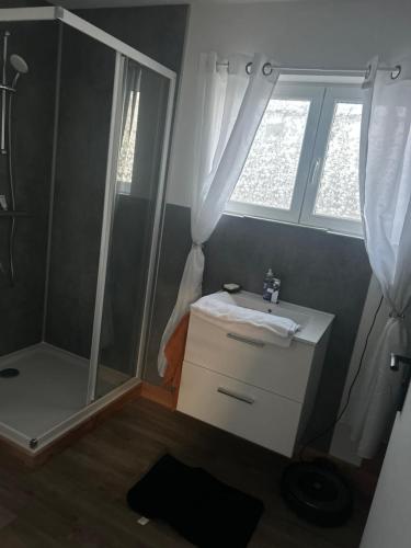 une salle de bain avec une douche, un lavabo et un miroir dans l'établissement Studio dans maison 2 personnes, à Sainte-Hélène-du-Lac