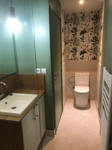 une salle de bain avec toilettes et lavabo dans l'établissement Petite Maison, à Hoenheim