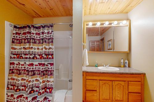 Un baño con cortina de ducha y lavabo. en Van Vliet Lakehouse, en Presque Isle