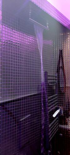 a purple vase in a bathroom with a tile wall at Pignasecca Domus in Naples