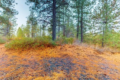 a dirt road in a forest with trees at Seventh Mountain Resort Unit 1913 in Bend