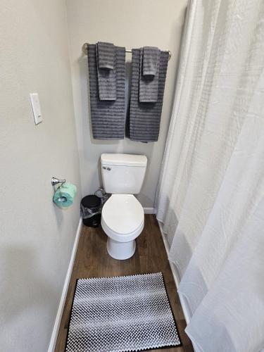 クリーブランドにあるThe Urban Oasisのトイレとシャワーカーテン付きのバスルーム