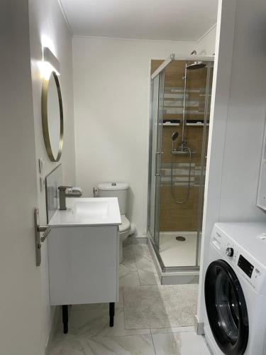 une salle de bain avec un lavabo et une machine à laver dans l'établissement Le soleil Niçois, proche du port, à Nice