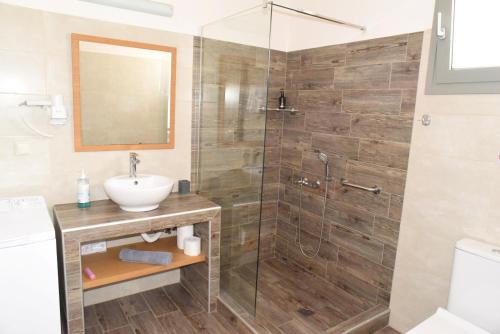 a bathroom with a shower with a sink and a toilet at Seastone Villas in Almiropótamos