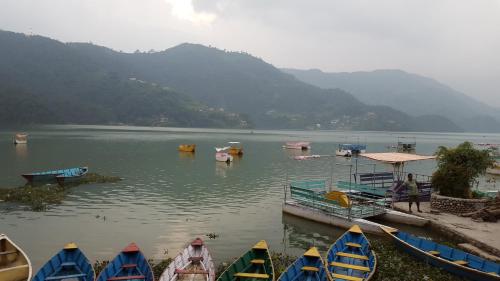 a group of boats are docked on a lake at Hotel Pokhara View in Pokhara