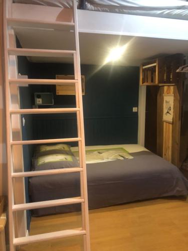 - un lit superposé avec une échelle à côté d'un lit dans l'établissement Agréable studio 4 personnes RDC 5min à pieds du centre, des remontées et des thermes, à Cauterets