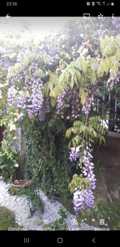 Un jardín fuera de Creativhause 2
