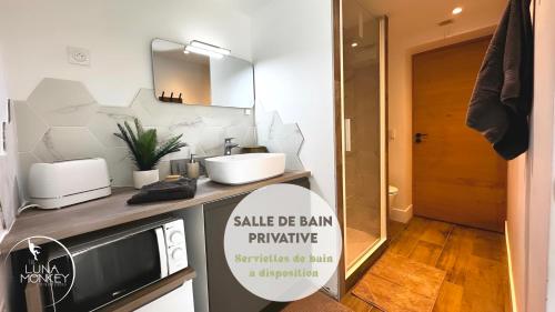 a bathroom with a sink and a mirror on a counter at Luna Monkey, Chambre & Terrasse privée, Bourgoin Centre in Bourgoin
