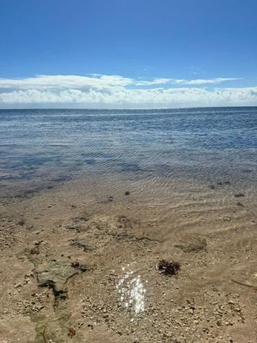 a large body of water with the shoreline at Ocean Depth Room at Barnacle Resort in Big Pine Key