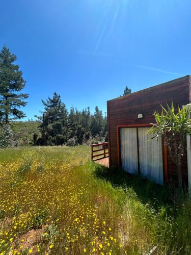 a wooden cabin in a field of flowers at Casa Eco Bosque in Pichilemu
