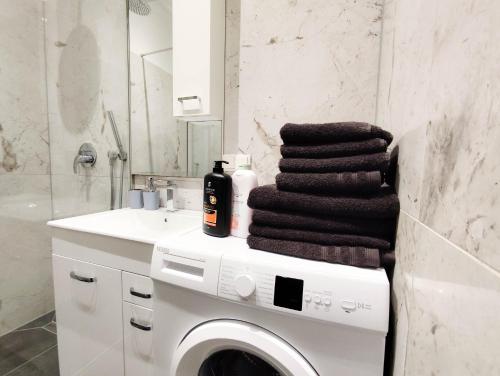 a bathroom with a washing machine and a sink at Cozy Apartments in Central Location with Free Parking on Availability in Vienna