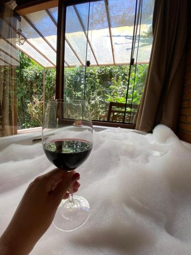 a person holding a glass of wine in front of a window at Terra Verde Visconde de Mauá in Visconde De Maua