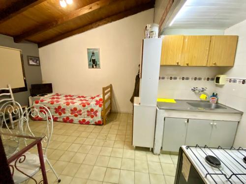 Magos al sur vintage في سان كارلوس دي باريلوتشي: مطبخ مع مغسلة وثلاجة وطاولة