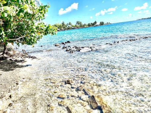 a beach with a bunch of birds in the water at Isa Seaside in Taputapuapea