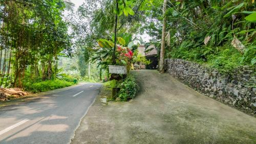 Taman di luar Umah Tis Sebatu