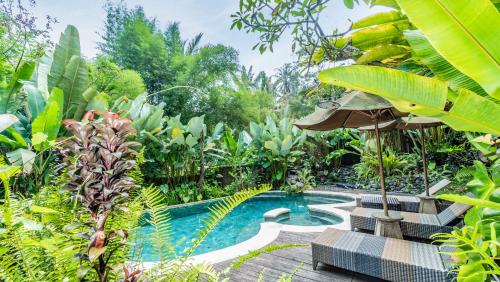 Kolam renang di atau dekat dengan Umah Tis Sebatu