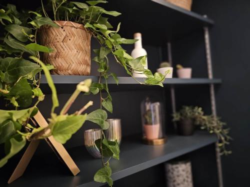 Photo de la galerie de l'établissement apt walk to seine louvre, à Paris