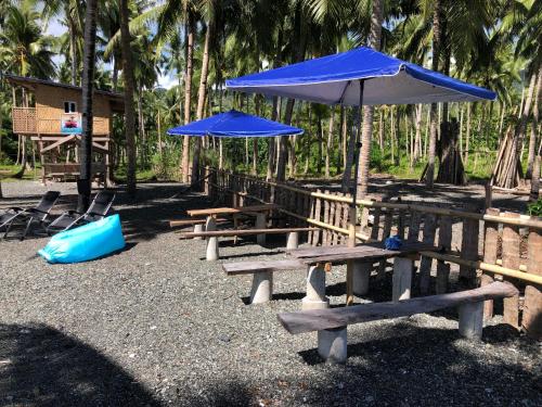 Fotografie z fotogalerie ubytování Palm Creek Resort v destinaci Malitbog