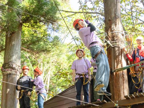 a group of people on a ropes course in a forest at Labo Land Kurohime in Shinano