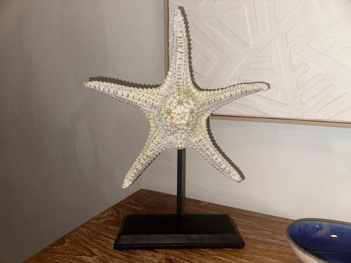 a starfish on a stand on a table at Luxury 2 Bedroom Apartment, 1 Min Walk to Punta Popy Beach, Pool, AC, Fast WiFi, Las Terrenas in Las Terrenas