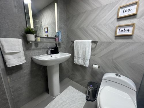 a bathroom with a sink and a toilet and a mirror at Luxury 2 Bedroom Apartment, 1 Min Walk to Punta Popy Beach, Pool, AC, Fast WiFi, Las Terrenas in Las Terrenas