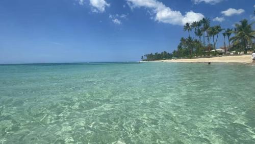 a view of a beach with palm trees and the ocean at Luxury 2 Bedroom Apartment, 1 Min Walk to Punta Popy Beach, Pool, AC, Fast WiFi, Las Terrenas in Las Terrenas