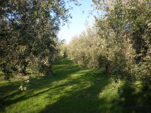 Gallery image of Locanda La Gozzetta in Santa Luce