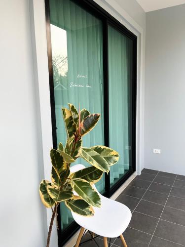 a plant in a room with a white chair and a window at Borbaimai home in Chiang Rai