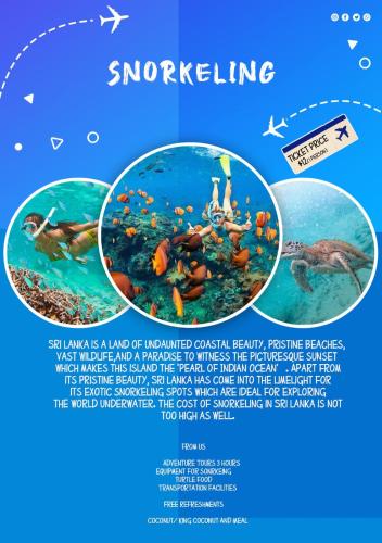 a poster for a aquarium with three different types of underwater organisms at New Ocean Breeze Madiha in Matara