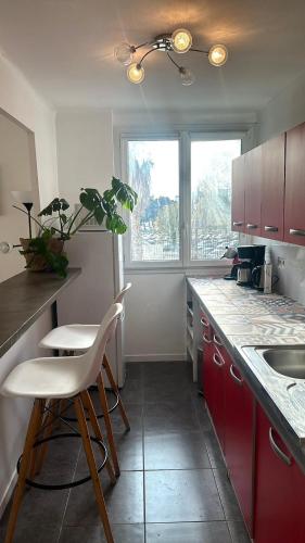 une cuisine avec des armoires rouges et une usine sur le comptoir dans l'établissement FLC - Timone Hospital - 2 Bedrooms - Max 6 Guests, à Marseille