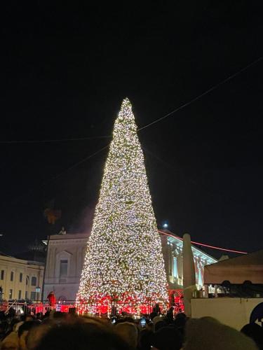 a large christmas tree is lit up at night at B&B Via dell'Azzurra in Bari