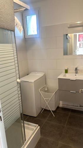 une salle de bain avec une douche, un lavabo et des toilettes dans l'établissement FLC - Timone Hospital - 2 Bedrooms - Max 6 Guests, à Marseille