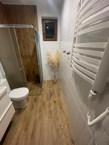 a bathroom with a shower and a toilet and a sink at Leśne Apartamenty in Bobolice