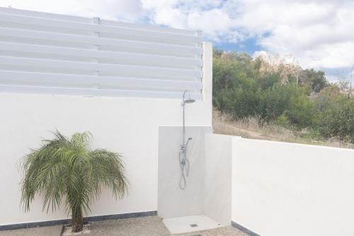 a white wall with a shower and a palm tree at Casa de Nicole in Protaras