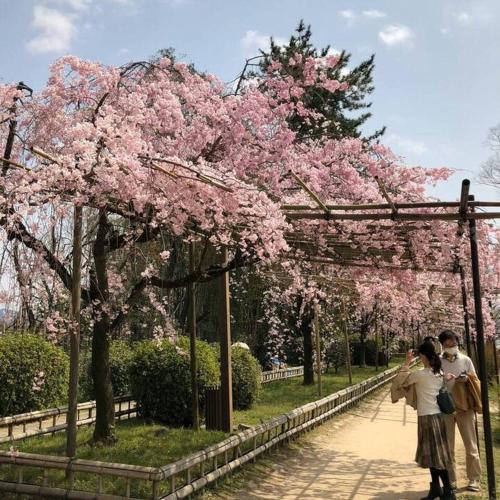 Tsuki Matsu House 月松ハウス