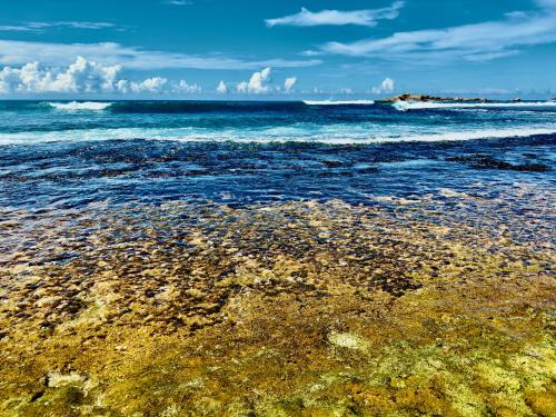 una playa rocosa con el océano en el fondo en Soldara Gedara, en Hikkaduwa