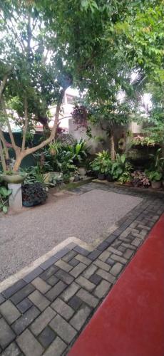 a red carpet and some trees and a red path at Lotus Paradise in Weligama