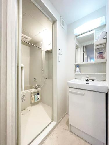 a small bathroom with a sink and a shower at japan house Otsuka in Tokyo