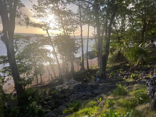 a view of the beach through the trees at Havre de Paix in Souillac