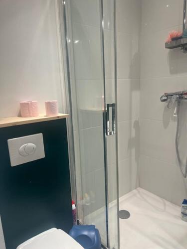 une salle de bain avec une douche en verre et des toilettes dans l'établissement Appartement lumineux en rez-de- jardin, à Cabourg