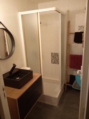 une salle de bain avec un lavabo et une douche dans l'établissement Le pigeonnier, à Millau