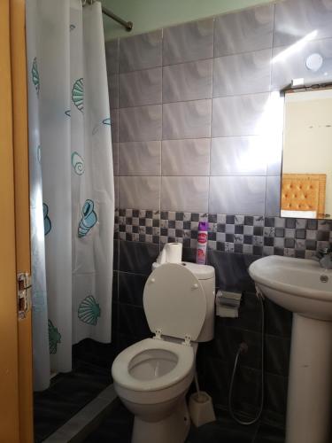 Koupelna v ubytování CJ Suites - Executive 3Br and Dsq in Eldoret