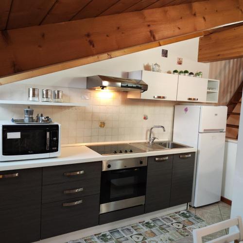 a kitchen with a sink and a microwave and a refrigerator at Casa Daolasa Val di Sole Trentino in Commezzadura