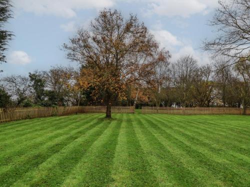 a tree in the middle of a large grass field at Blossom Hill in Witney