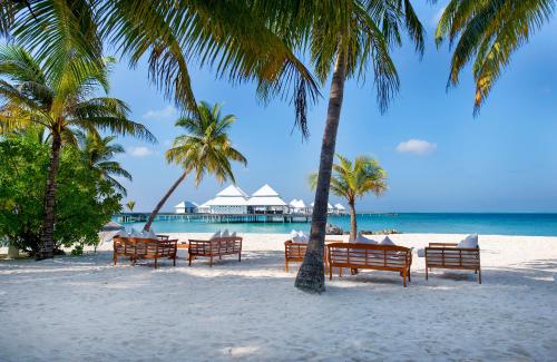 a group of benches on a beach with palm trees at Diamonds Thudufushi Maldives Resort & Spa in Thundufushi
