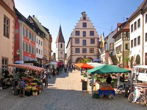 Gallery image of Braviscasa - Ferienresidenz Badnerstrasse Endingen in Endingen