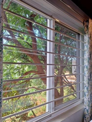 a window with a tree in the background at Mangrove Ecostay in Gokarna