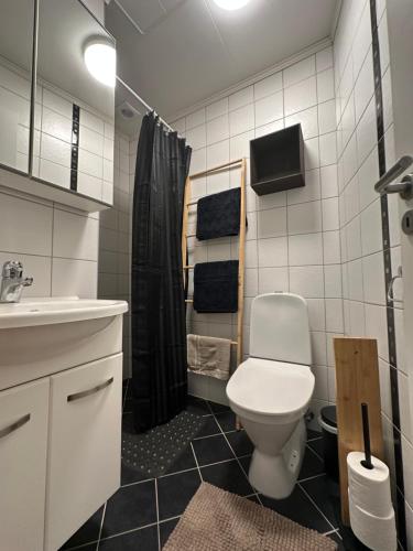 a bathroom with a toilet and a sink and a shower at Historical house with view and separate entrance in Ålesund